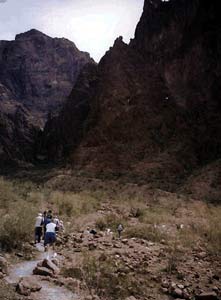 Palm Canyon